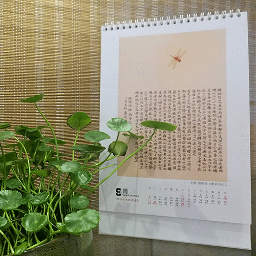 小楷小品十片